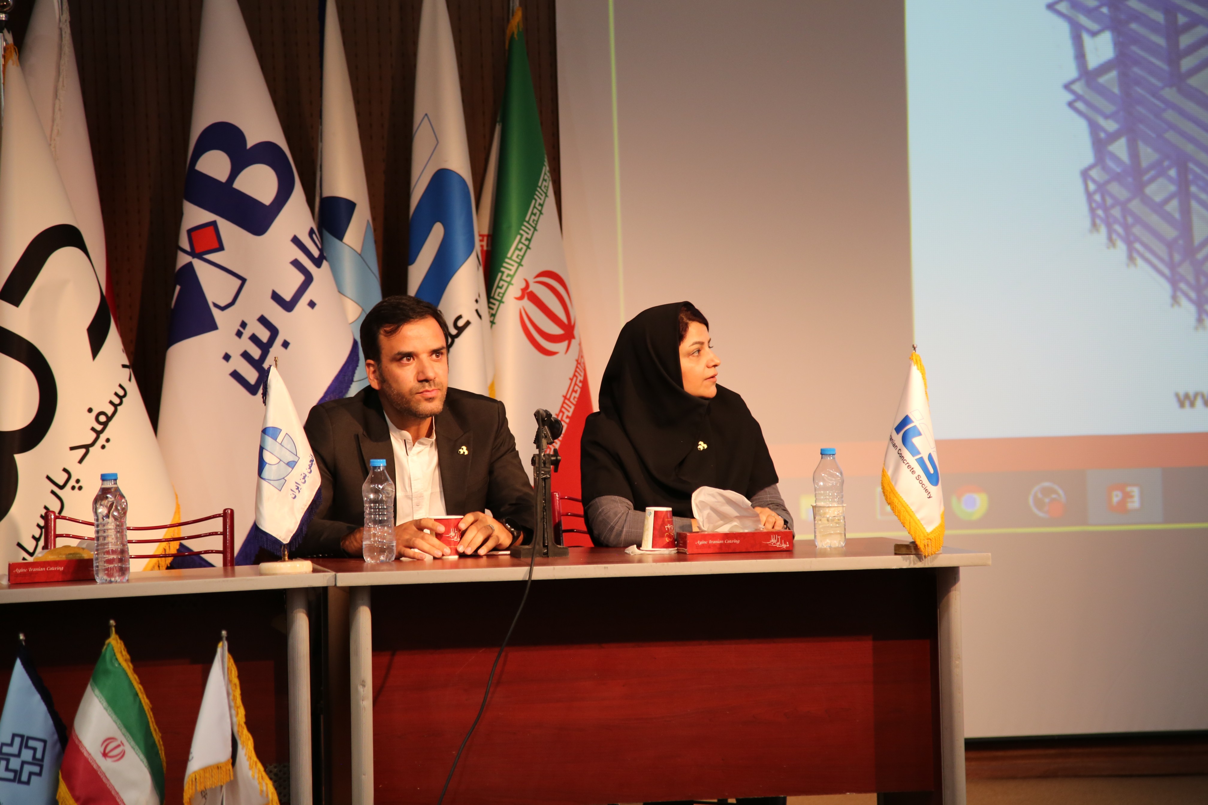 خانم یگانه 2